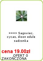 inne aukcje www_oleander_pl