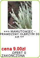 inne aukcje www_oleander_pl